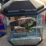 lizard tank for sale