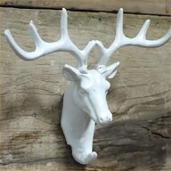 moose horns for sale