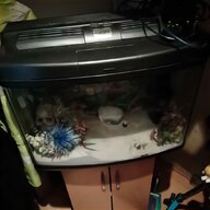 fish box tank for sale