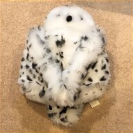 snowy owl for sale