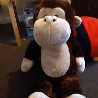 keel monkey for sale