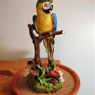 macaw plate for sale