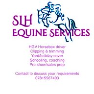 equine massage for sale