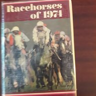 racehorses for sale