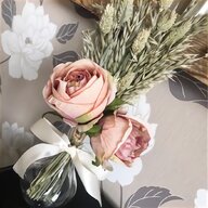 miniature roses for sale