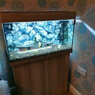 juwel aquarium 60 for sale