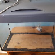immersion tank for sale