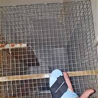 quail cage for sale