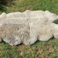 quad sheepskin rug for sale