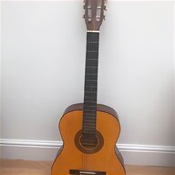 aslin dane guitar for sale