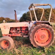tractor doe for sale