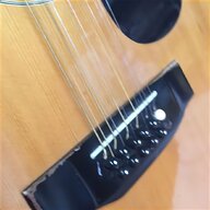 takamine 12 string guitar for sale