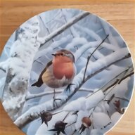 robin plate for sale