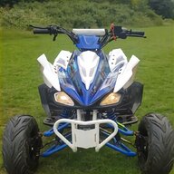 raptor quad bike for sale