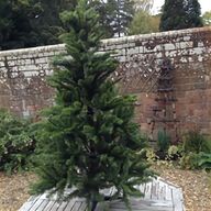 topiary tree for sale