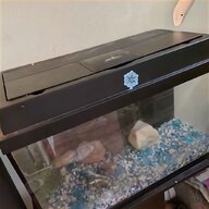 reef tank for sale