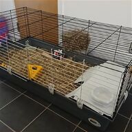 indoor rabbit cages for sale