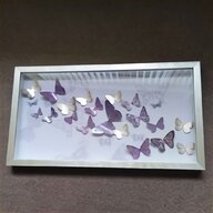 framed butterflies for sale