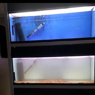 4 foot fish tank for sale