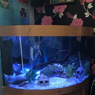 250 litre fish tank for sale