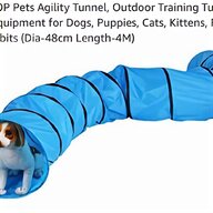 dog agility equipment for sale