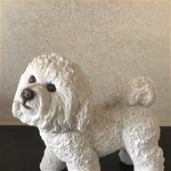 bichon poodle for sale