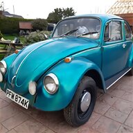 vw beetle book for sale