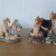 sherratt simpson dogs for sale