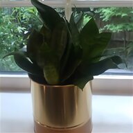 5cm plant pots for sale