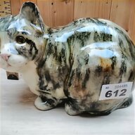 winstanley cat for sale