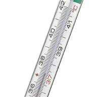 vintage mercury thermometer for sale