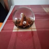 caithness glass paperweight for sale
