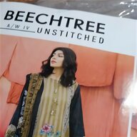 beech tree for sale