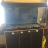 3ft tank for sale