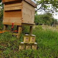 bee hives for sale