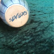 seviers for sale