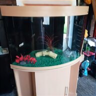 cylinder aquarium for sale