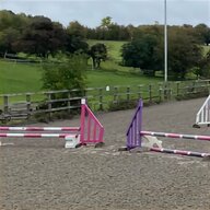 horse jumps for sale