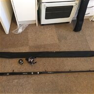 10ft carp rods for sale