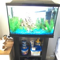 fish tank kit for sale