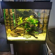 acrylic tank for sale