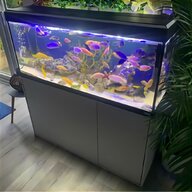 7ft aquarium for sale