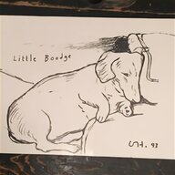 greyhound print for sale