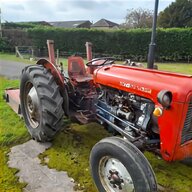 grey ferguson tractor for sale