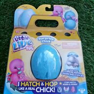 leghorn hatching eggs for sale