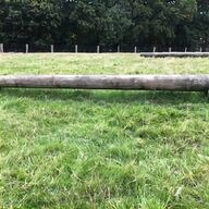 cross country jumps for sale