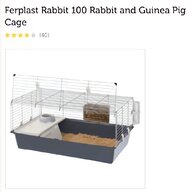 pets home rabbit for sale