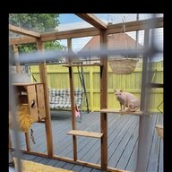 outdoor cat shelter for sale
