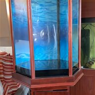 10ft fish tank for sale
