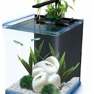 white fish tank for sale
